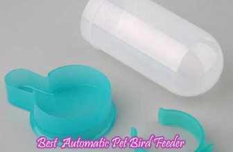 Best Automatic Pet Bird Feeder